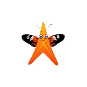 Copper Butterfly Starfish